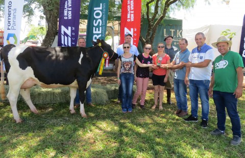 Julgamento de gado leiteiro mostrou a qualidade do rebanho duovizinhense Julgamento de gado leiteiro mostrou a qualidade do rebanho duovizinhense