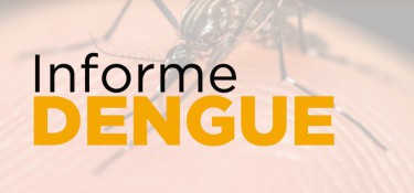 Aumenta para 10 o número de casos de dengue em Dois Vizinhos Aumenta para 10 o número de casos de dengue em Dois Vizinhos
