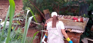 Paraná soma 102,2 mil casos de dengue e 78 óbitos Paraná soma 102,2 mil casos de dengue e 78 óbitos