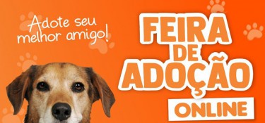 A partir desta quarta (27) tem feira de adoção de cães e gatos online A partir desta quarta (27) tem feira de adoção de cães e gatos online