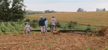 Somente na região Sudoeste, 223 postes foram trocados em virtude do temporal Somente na região Sudoeste, 223 postes foram trocados em virtude do temporal