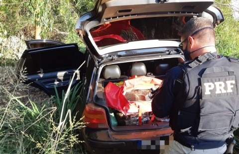 PRF apreende 156 kg de maconha em Realeza PRF apreende 156 kg de maconha em Realeza