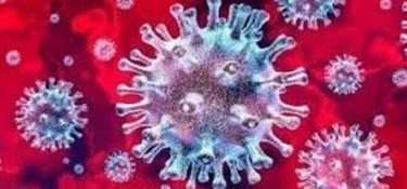 No último final de semana, Dois Vizinhos teve 67 novos casos de Covid-19 No último final de semana, Dois Vizinhos teve 67 novos casos de Covid-19