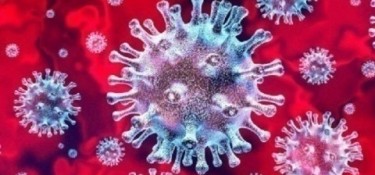 No final de semana, Dois Vizinhos teve 66 novos casos de Covid No final de semana, Dois Vizinhos teve 66 novos casos de Covid