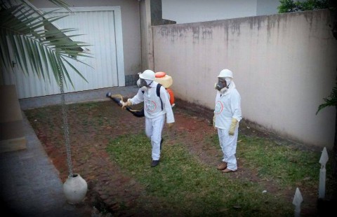 Agentes de combate ao Aedes Aegypti atuarão em horários diferenciados em Dois Vizinhos Agentes de combate ao Aedes Aegypti atuarão em horários diferenciados em Dois Vizinhos