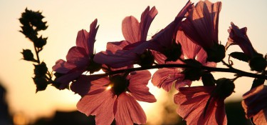 Primavera deve trazer chuvas ao Paraná, segundo Simepar Primavera deve trazer chuvas ao Paraná, segundo Simepar