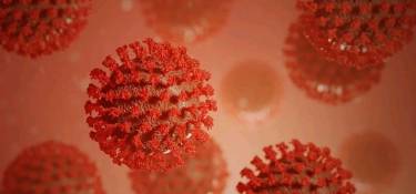 Na quarta (03), foram confirmados 47 novos casos de Covid em Dois Vizinhos Na quarta (03), foram confirmados 47 novos casos de Covid em Dois Vizinhos